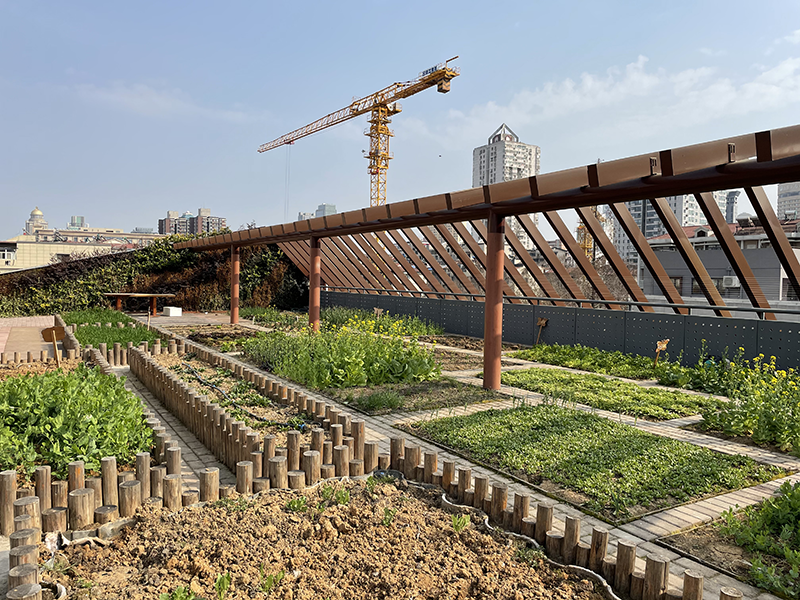 屋頂綠化種植容器后期維護指南
